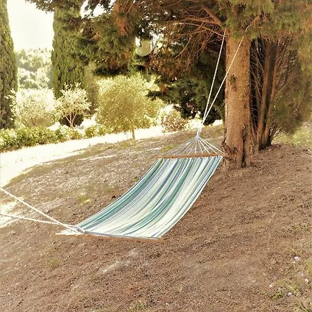 Col Di Pietra
