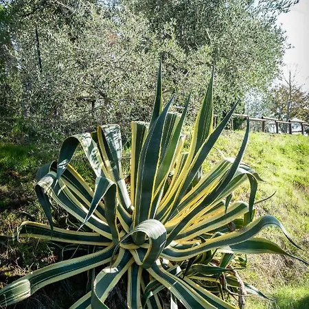 Apartamento Col Di Pietra
